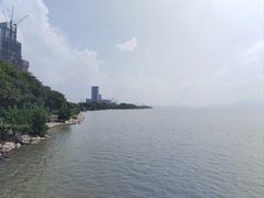 -深圳湾公园(南山区)