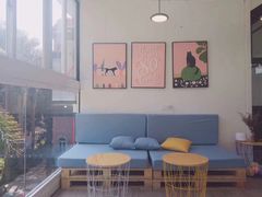 -有猫主题·治愈系猫咖(曾厝垵店)