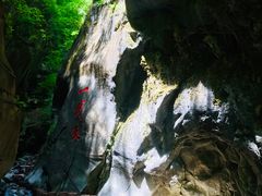 -黑河国家森林公园