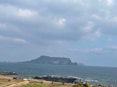 -涉地可支