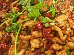 -食神又名厕所兔