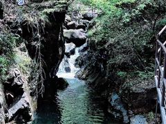 -大奇山国家森林公园