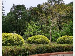 -云溪植物园