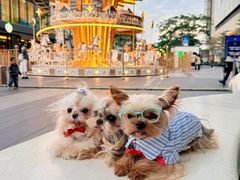 -东莞松山湖万象汇