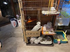 -木沐影咖(鑫乐汇购物广场店)