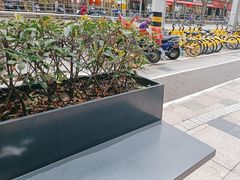 -五月花生活广场