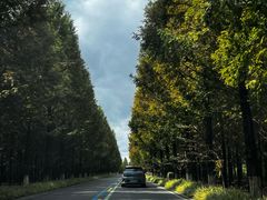 -黄海国家森林公园