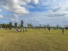 -春花秋色城市公园