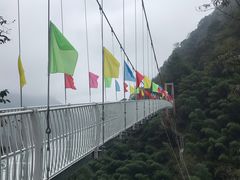 -藏龙百瀑风景区