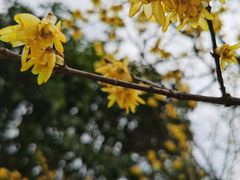 -宁波野生动物园