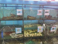 水产区-范饭椰林川湘味海鲜·椰子鸡(三亚湾椰梦长廊店)