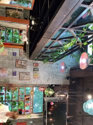 -T.1 hair salon烫染接发