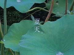 -云龙湖旅游景区