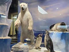 -国家自然博物馆