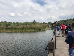 -溱湖国家湿地公园