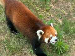 -南京金牛湖风景区