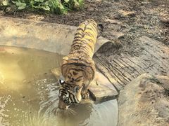 -昆明动物园