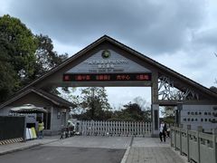 -中国大熊猫保护研究中心雅安碧峰峡基地