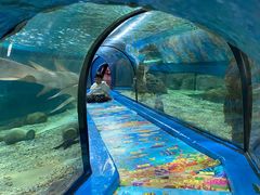 -福州罗源湾海洋世界旅游区