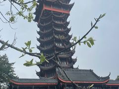 -塔子山公园