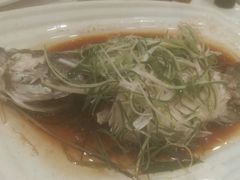桂花鱼-朱仔记食府(江南大道店)