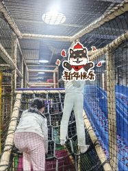 -玩元素·家庭游乐成长中心(香格里拉店)