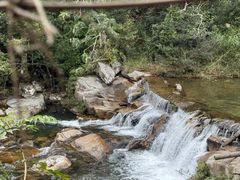-海南热带雨林国家公园吊罗山景区