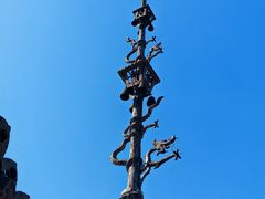 -药王庙(安国市)