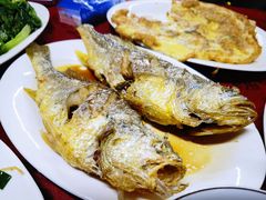 香煎黄花鱼-蛇口康乐快餐鱼仔档(翠苑小区店)