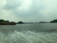 -溱湖国家湿地公园