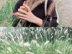 -白鹭湾湿地公园