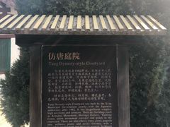 -西安青龙寺遗址景区