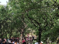 -灵岩山风景区