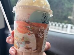 -陶记正宗德州扒鸡(科巷店)