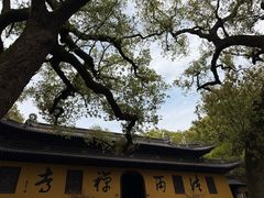 -普陀山风景名胜区-法雨禅寺