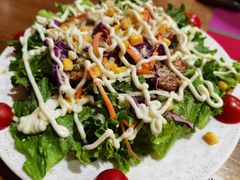 蔬菜芝士沙拉-食彩美印度特色美食餐厅·印度料理