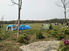 -上海海湾国家森林公园