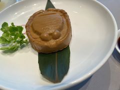 -张生记(丁香国际店)
