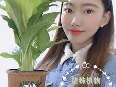 -乐天免税店(明洞店)