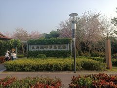 -立新湖公园