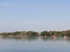 -西湖外事游船(花港观鱼码头)