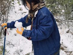 -武陵山森林公园