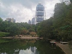 -深圳国际园林花卉博览园