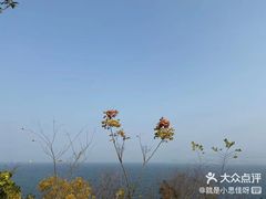-千岛湖城中湖游船码头