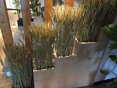 -麦子MaiMassage(打浦桥店)