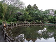 -白马涧龙池景区