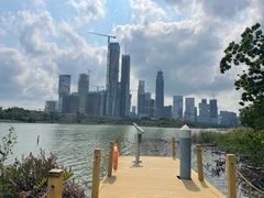 -华侨城湿地公园