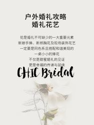 点击看大图 -Chic Bridal 熙可婚纱