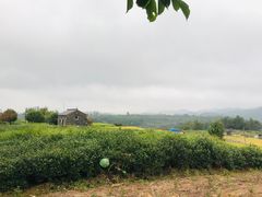 -乌石村