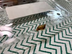-盒马鲜生(红莲店)